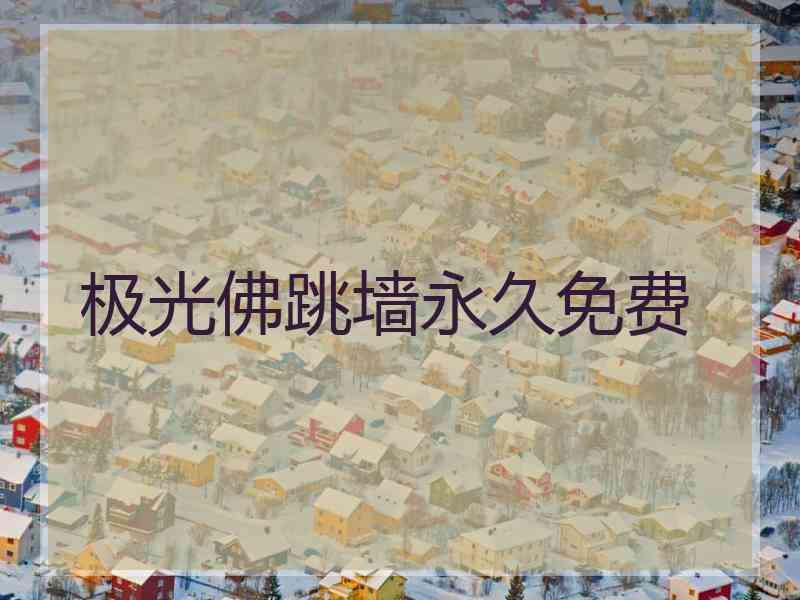 极光佛跳墙永久免费