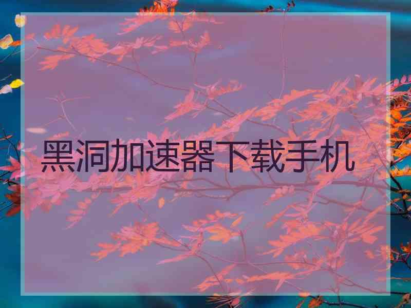 黑洞加速器下载手机