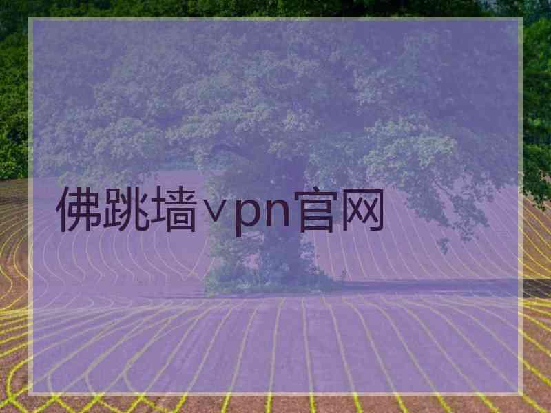 佛跳墙∨pn官网