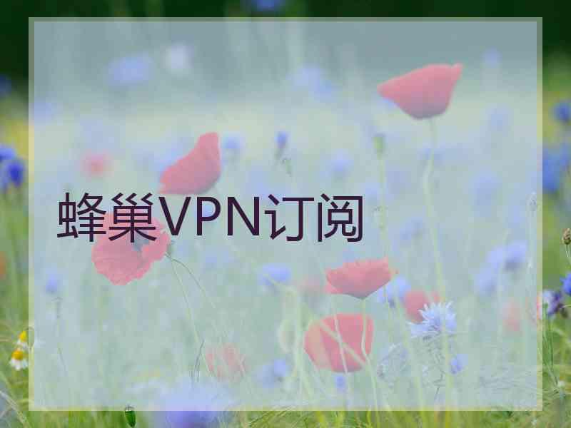 蜂巢VPN订阅