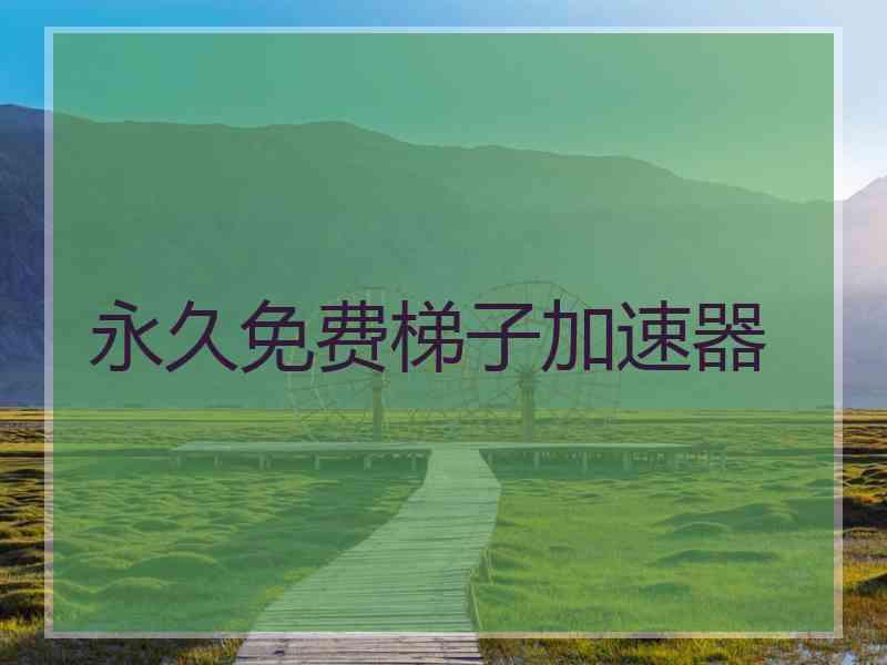 永久免费梯子加速器