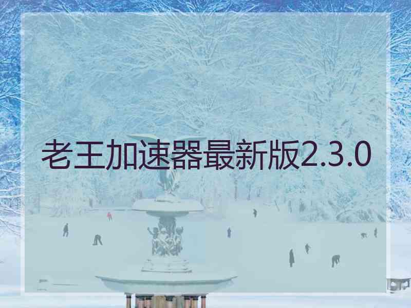 老王加速器最新版2.3.0