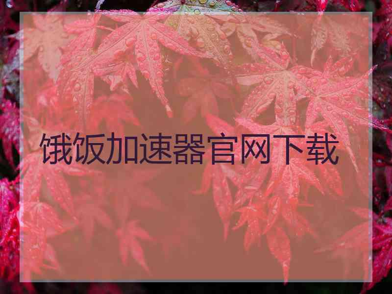 饿饭加速器官网下载