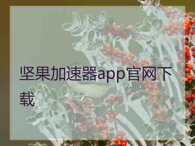坚果加速器app官网下载