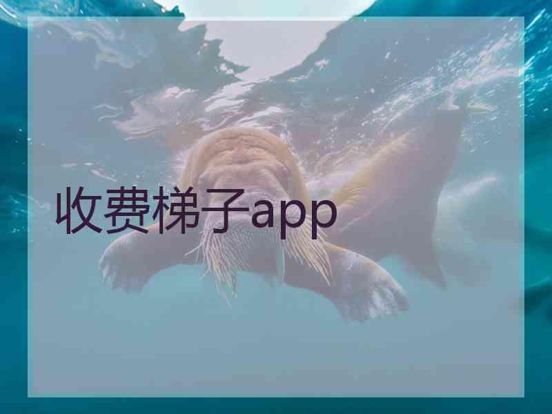 收费梯子app