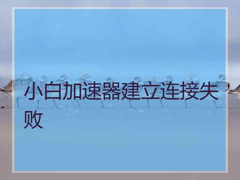 小白加速器建立连接失败