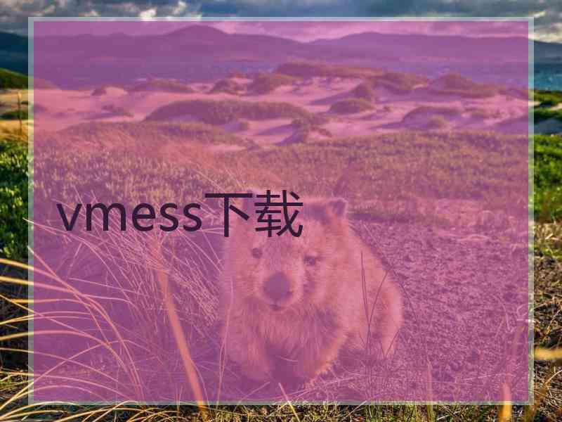 vmess下载