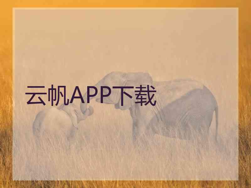 云帆APP下载