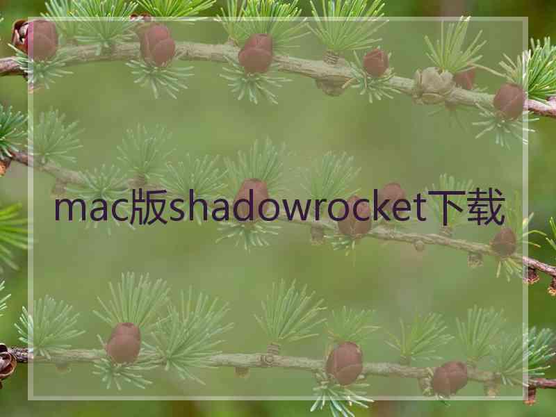 mac版shadowrocket下载