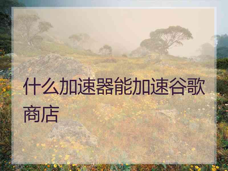 什么加速器能加速谷歌商店