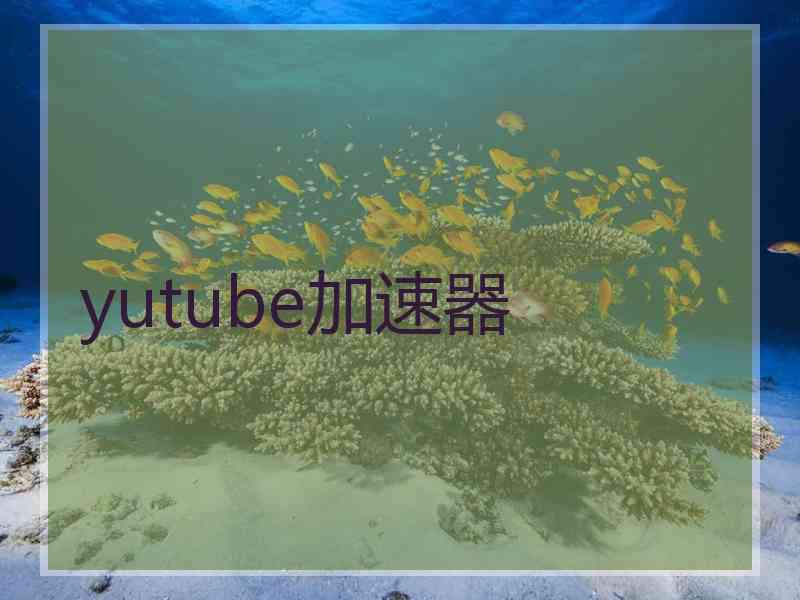 yutube加速器