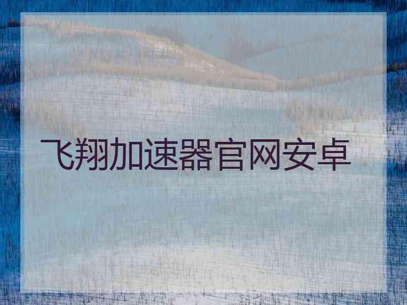 飞翔加速器官网安卓