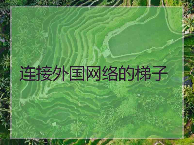连接外国网络的梯子