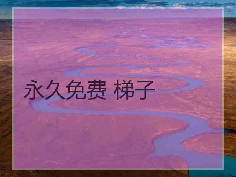 永久免费 梯子