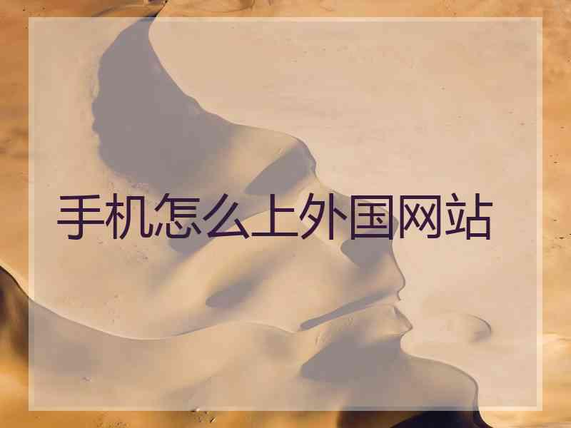 手机怎么上外国网站