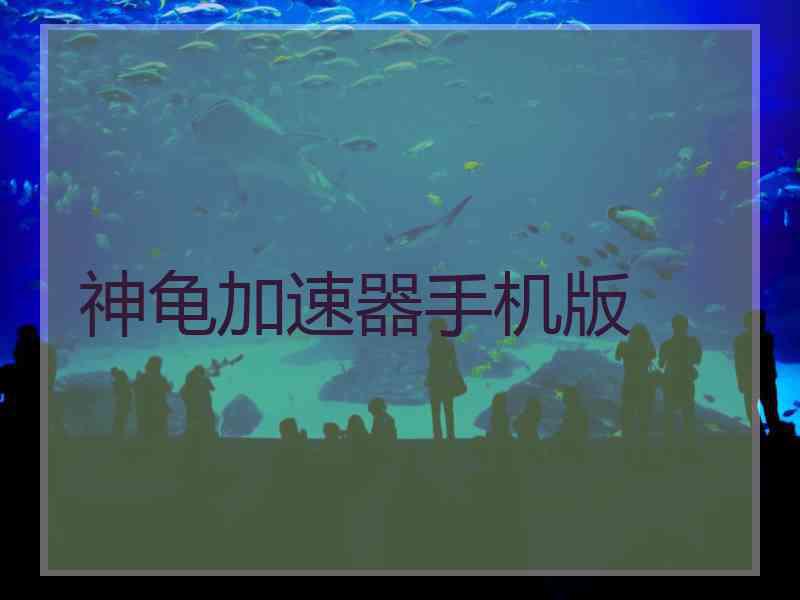神龟加速器手机版
