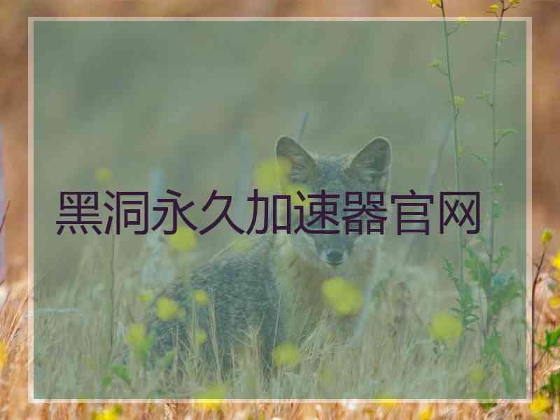 黑洞永久加速器官网