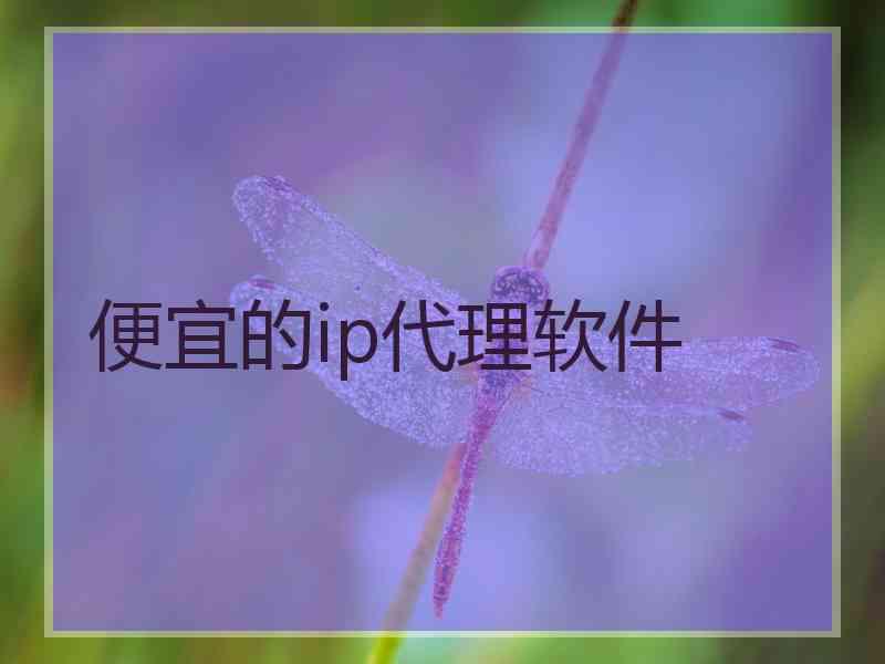 便宜的ip代理软件