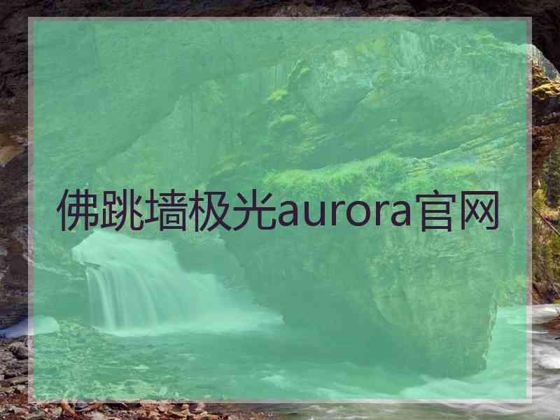 佛跳墙极光aurora官网
