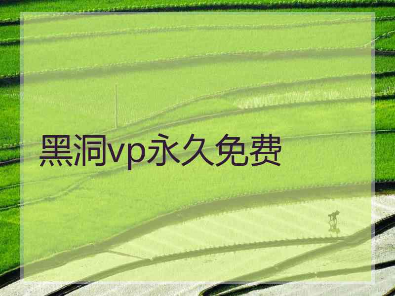 黑洞vp永久免费