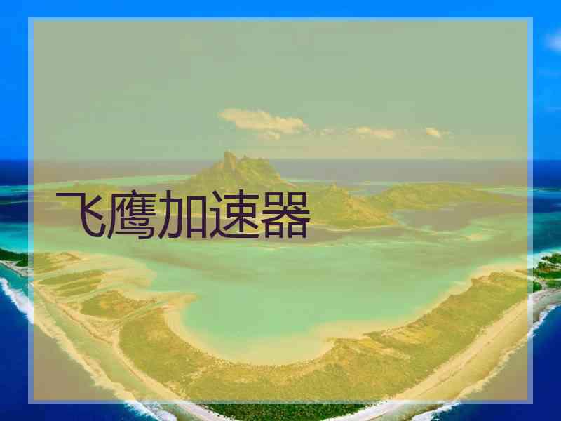 飞鹰加速器