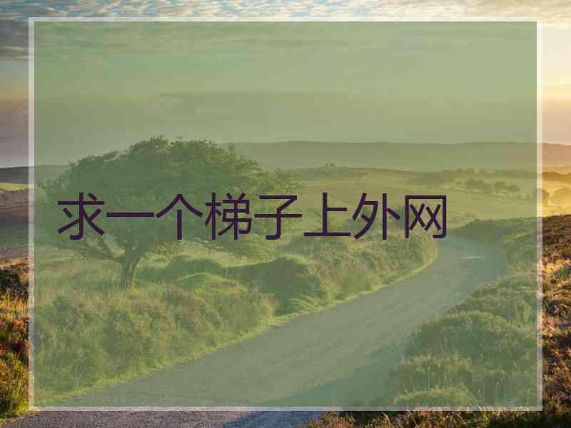 求一个梯子上外网