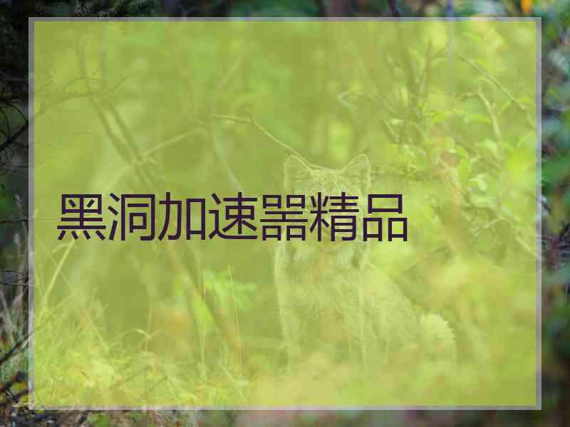 黑洞加速噐精品