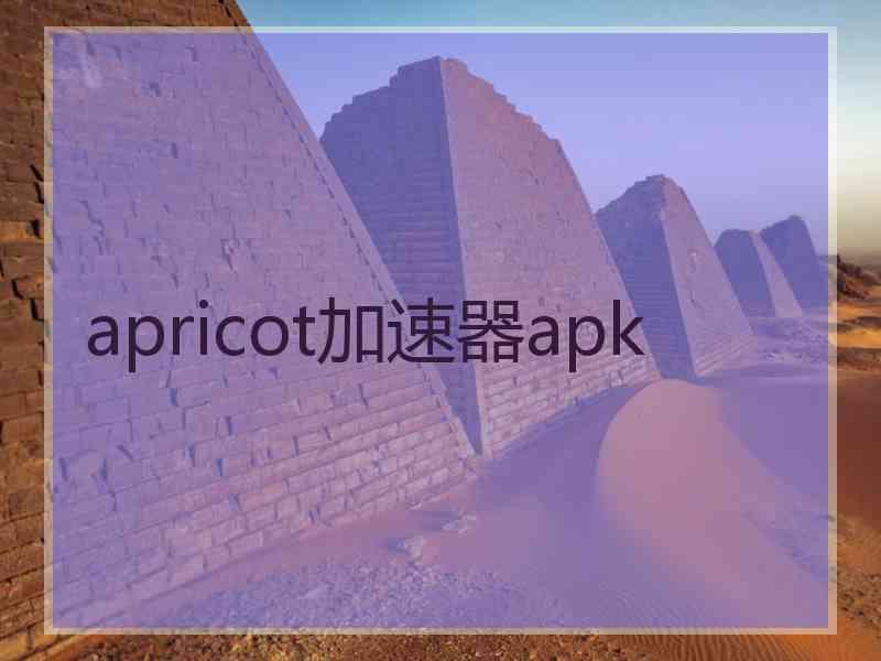 apricot加速器apk