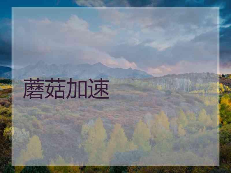 蘑菇加速