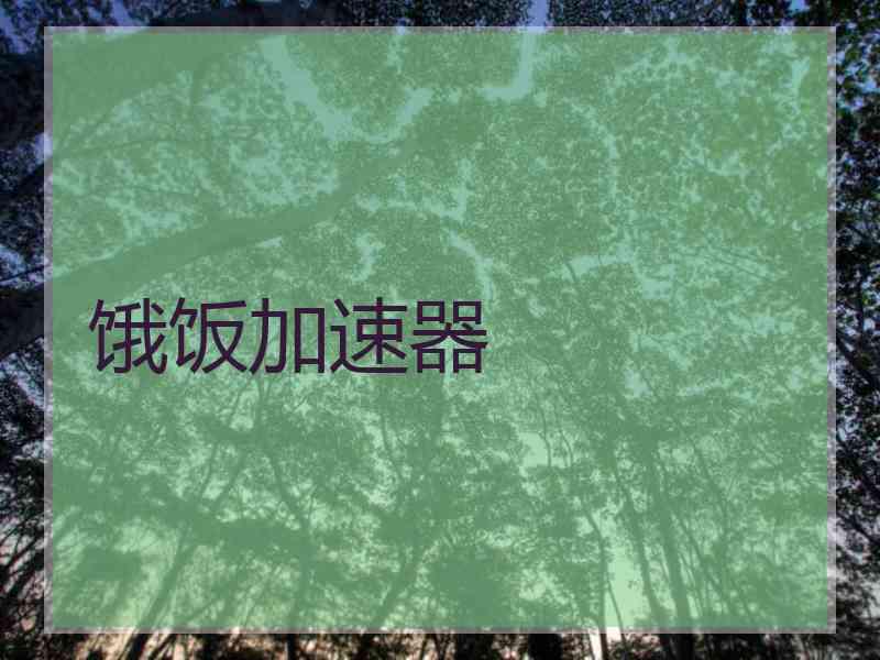饿饭加速器
