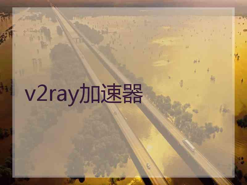 v2ray加速器