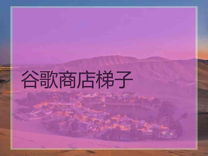 谷歌商店梯子