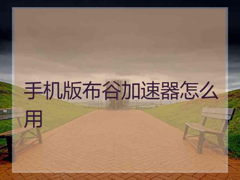 手机版布谷加速器怎么用