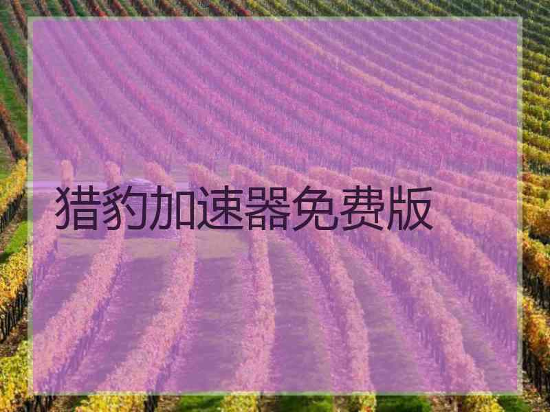 猎豹加速器免费版