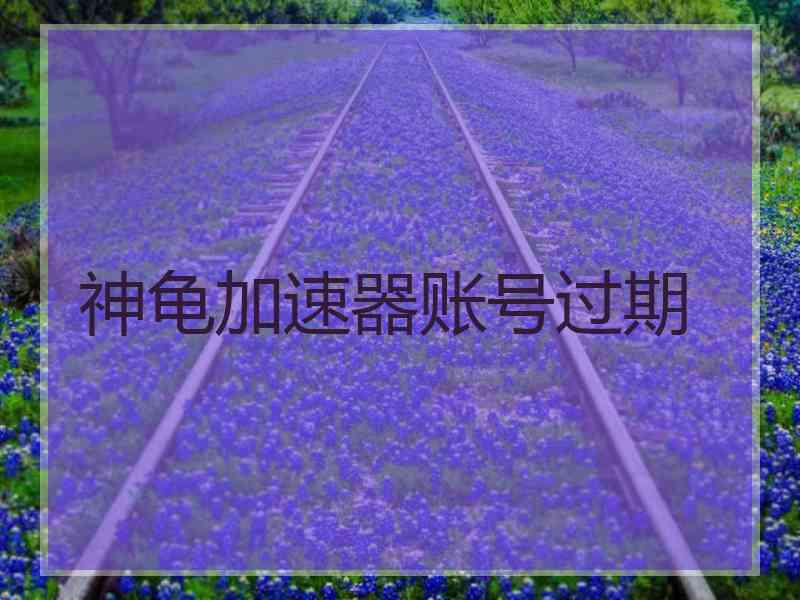 神龟加速器账号过期