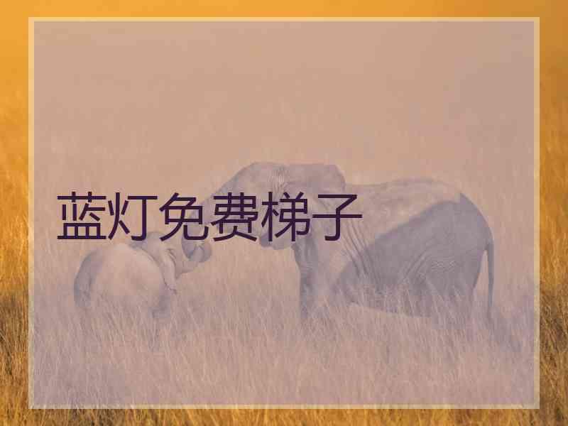 蓝灯免费梯子