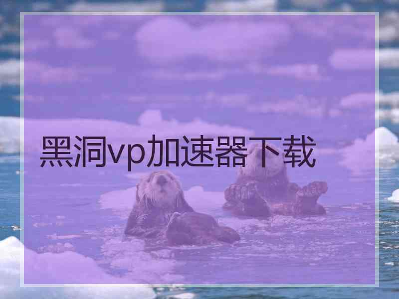 黑洞vp加速器下载