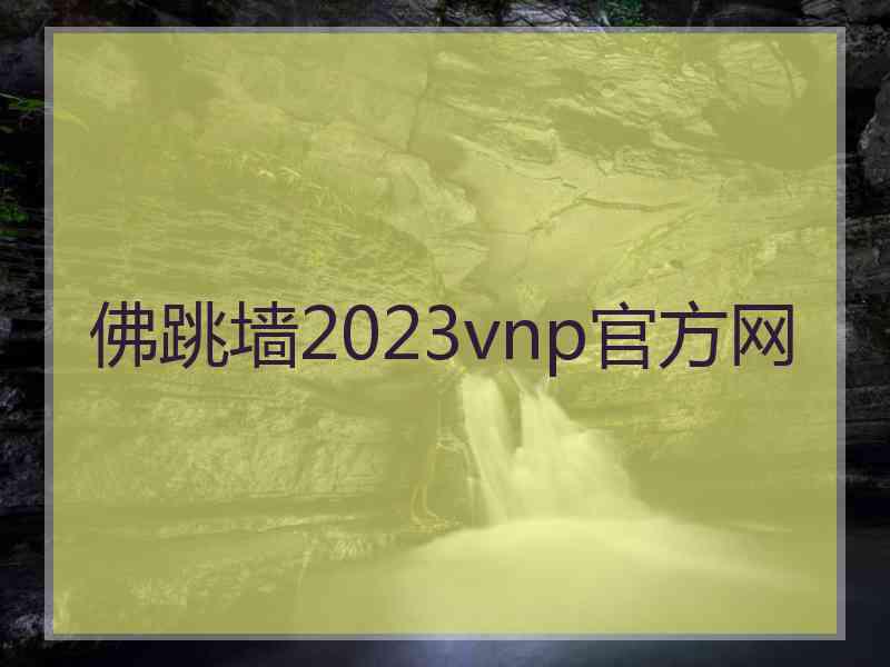 佛跳墙2023vnp官方网