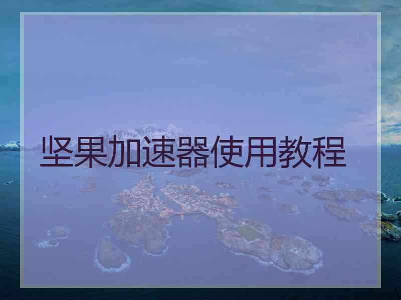 坚果加速器使用教程