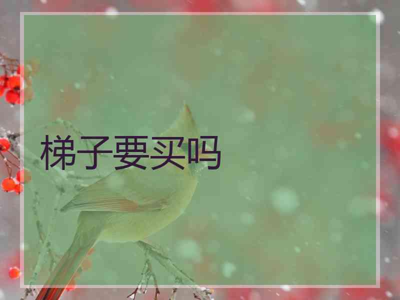 梯子要买吗