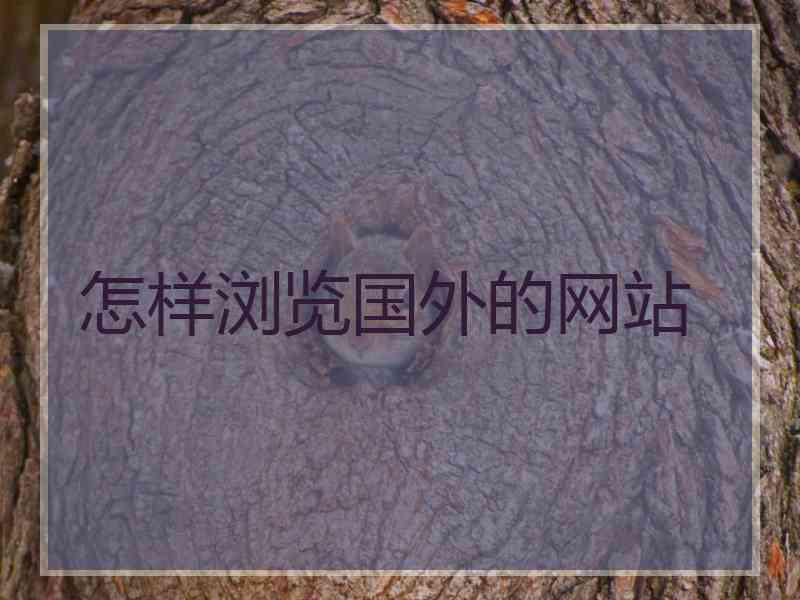 怎样浏览国外的网站