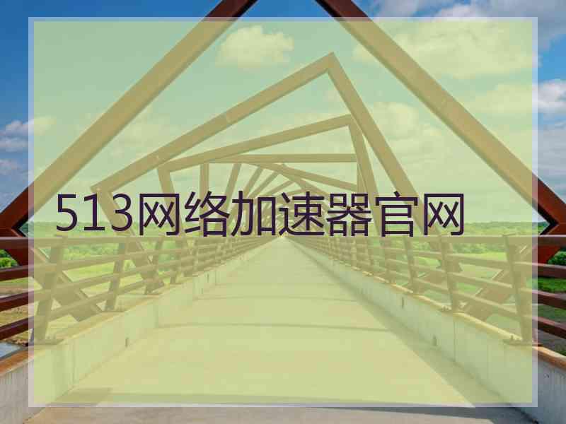 513网络加速器官网
