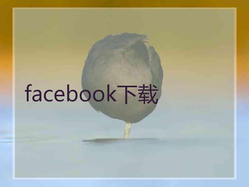 facebook下载