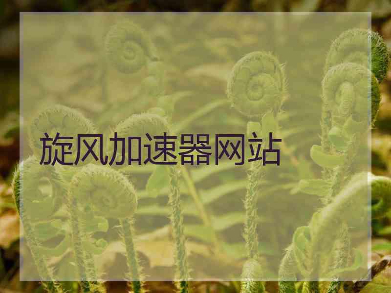 旋风加速器网站