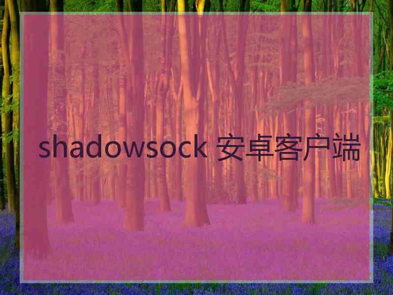 shadowsock 安卓客户端