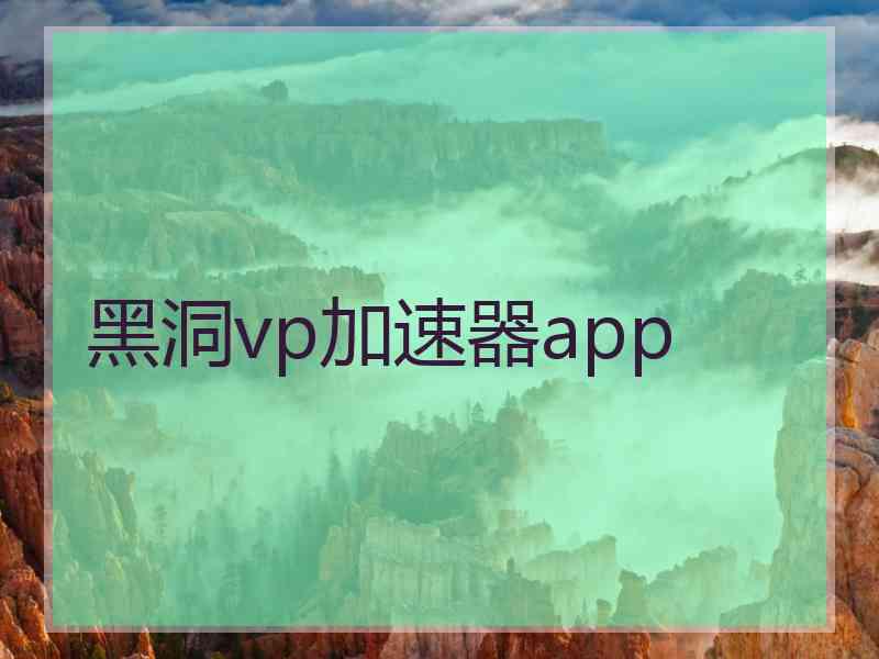 黑洞vp加速器app