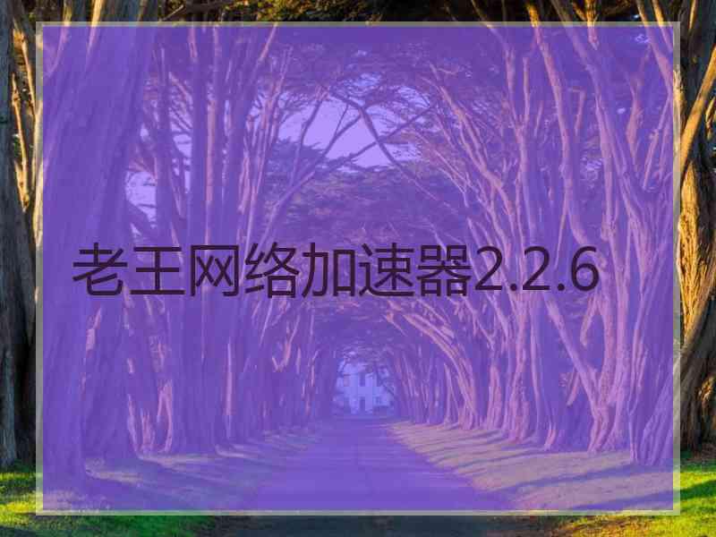 老王网络加速器2.2.6