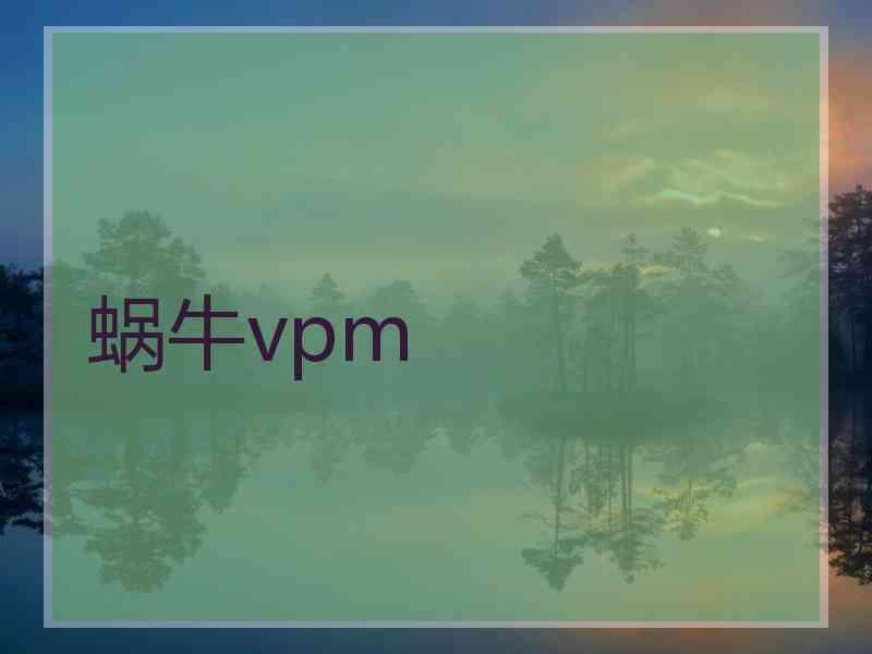 蜗牛vpm