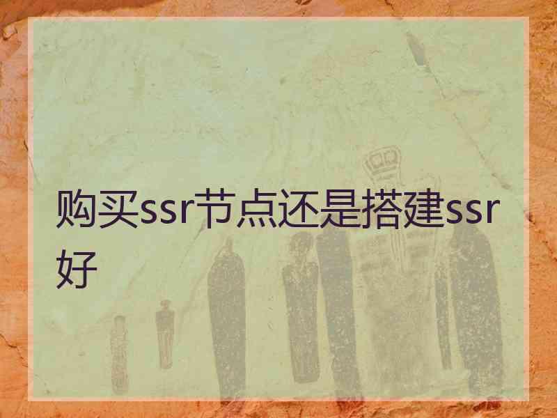 购买ssr节点还是搭建ssr好