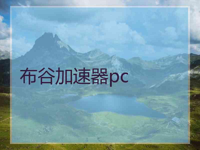 布谷加速器pc